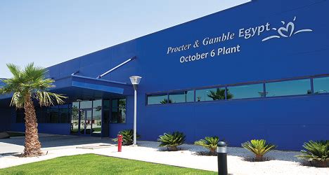 p&g egypt salaries|P .